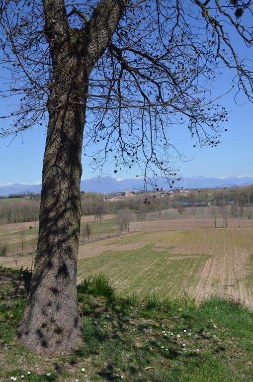 Agriturismo Dondino Cavriana Exteriör bild
