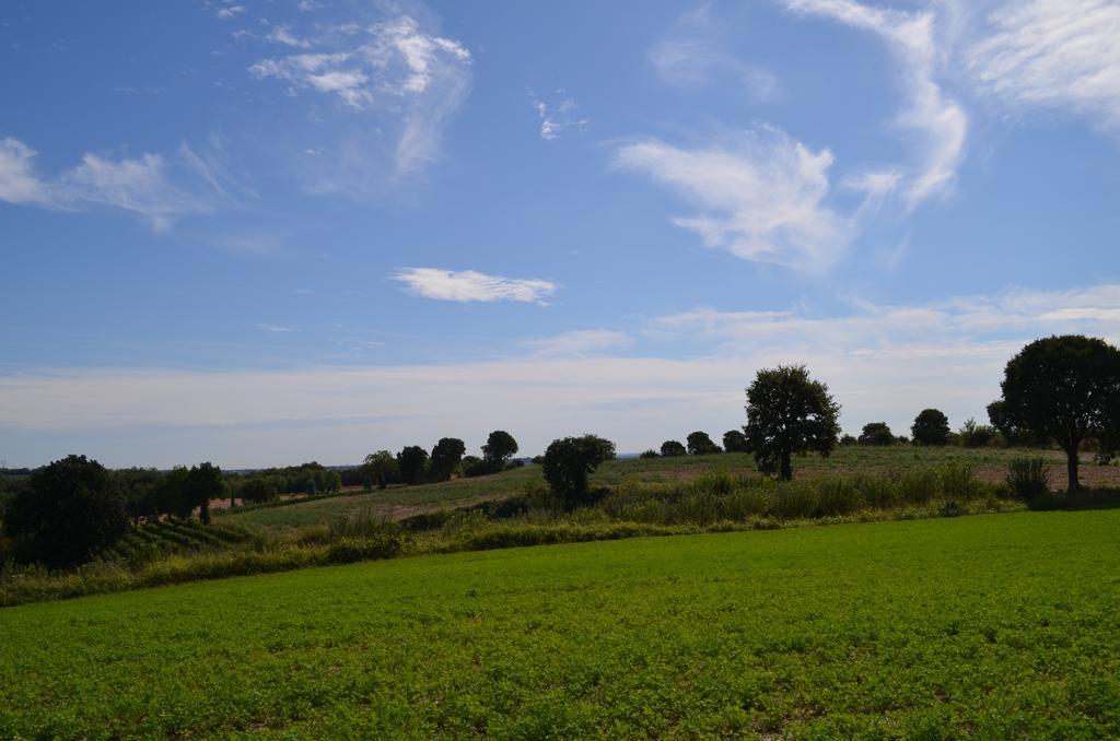Agriturismo Dondino Cavriana Exteriör bild